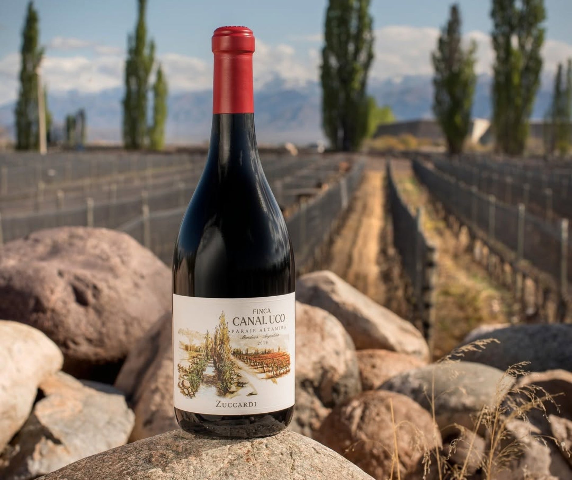 Argewine