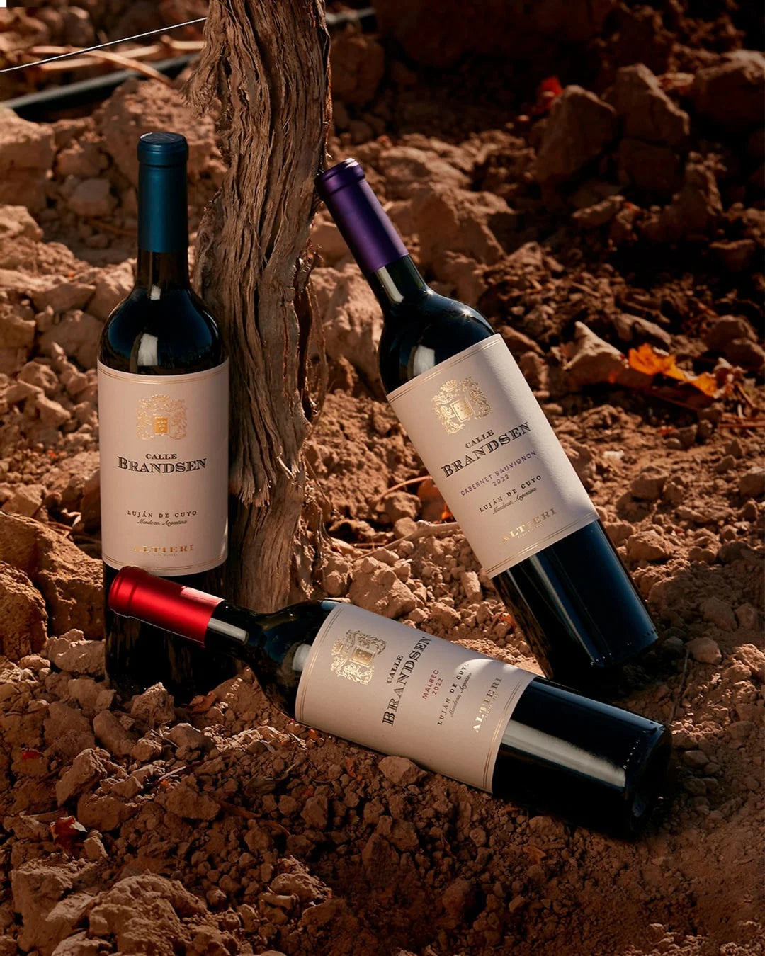 Argewine