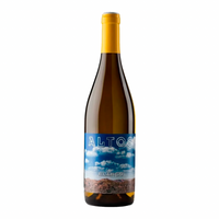 Altos Las Hormigas Blanco Blend 2023 - Argewine